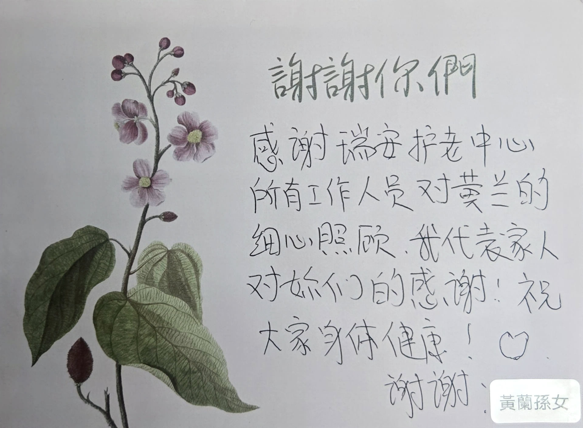 本頁圖片/檔案 - 2025-No_26_黃蘭孫女