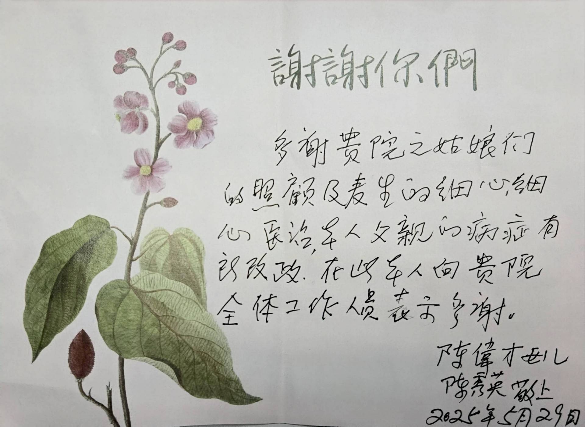 本頁圖片/檔案 - 2025-no_21